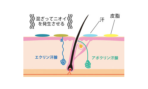 ワキガ臭い 足が臭い 体臭が ストレスでデートが不安の方悩み解決します